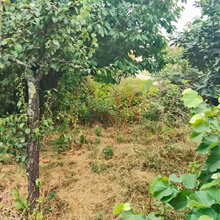 Moradia T3 para Venda em Silvares Foto 7