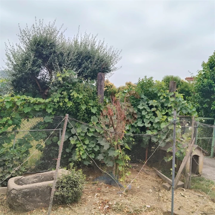 Moradia T3 para Venda em Silvares Foto 9