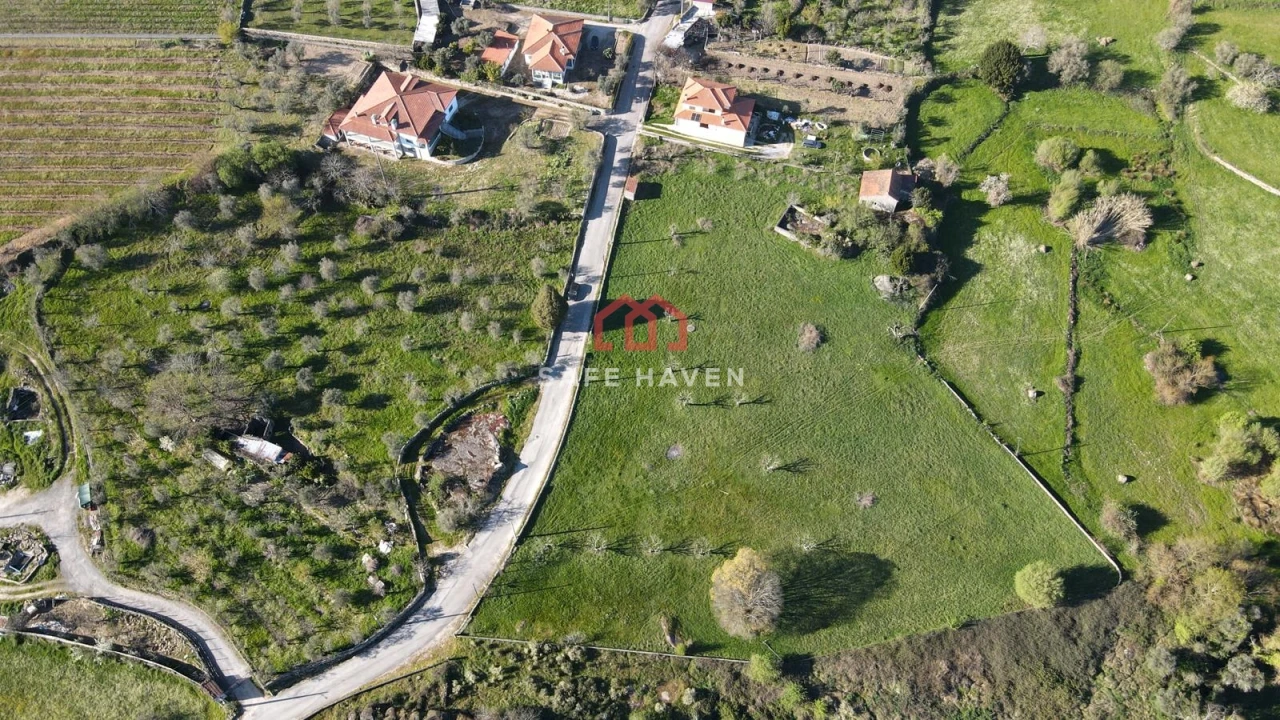 Terreno Agricola ou Rústico para Venda em Quintela de Azurara Foto 5