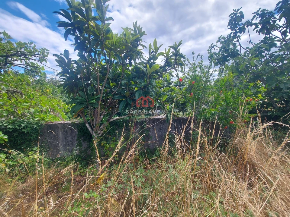 Terreno Agricola ou Rústico para Venda em Quintela de Azurara Foto 6