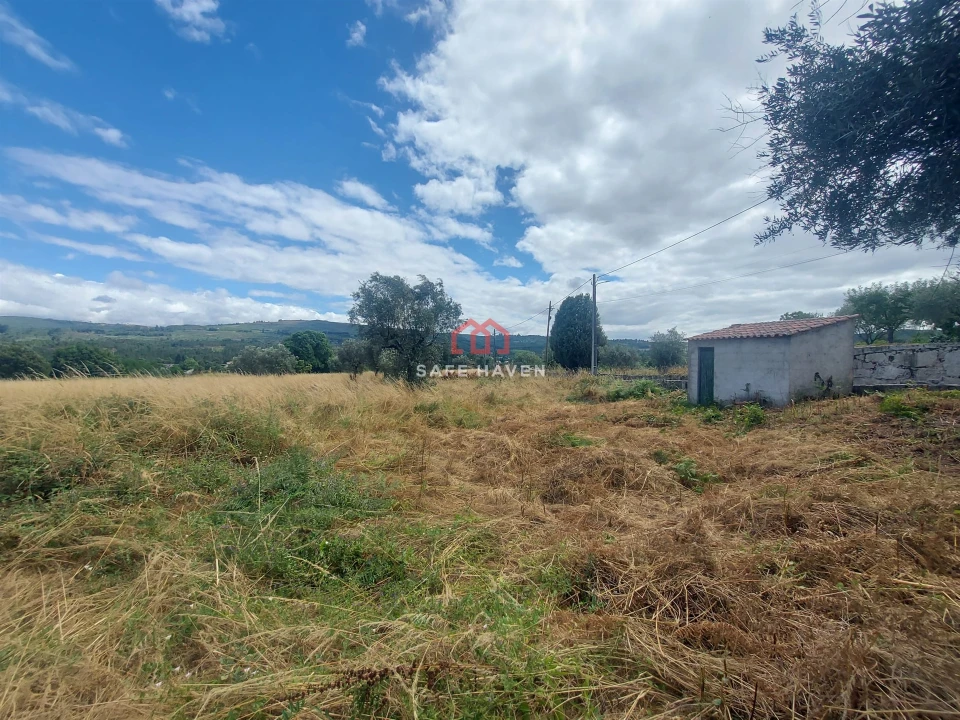 Terreno Agricola ou Rústico para Venda em Quintela de Azurara Foto 4
