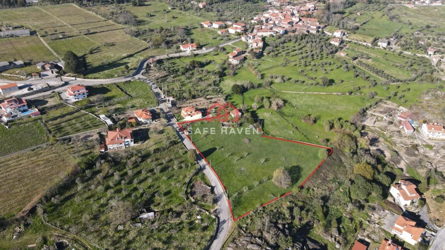Terreno Agricola ou Rústico para Venda em Quintela de Azurara Foto 3