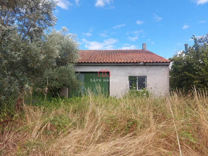 Terreno Agricola ou Rústico para Venda em Quintela de Azurara Foto 8