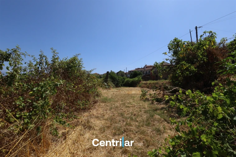 Moradia T3 para Venda em Cunha Baixa Foto 24