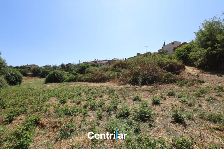 Moradia T3 para Venda em Cunha Baixa Foto 25