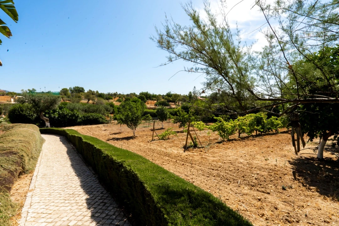 Moradia T5 para Venda em Pechão Foto 28