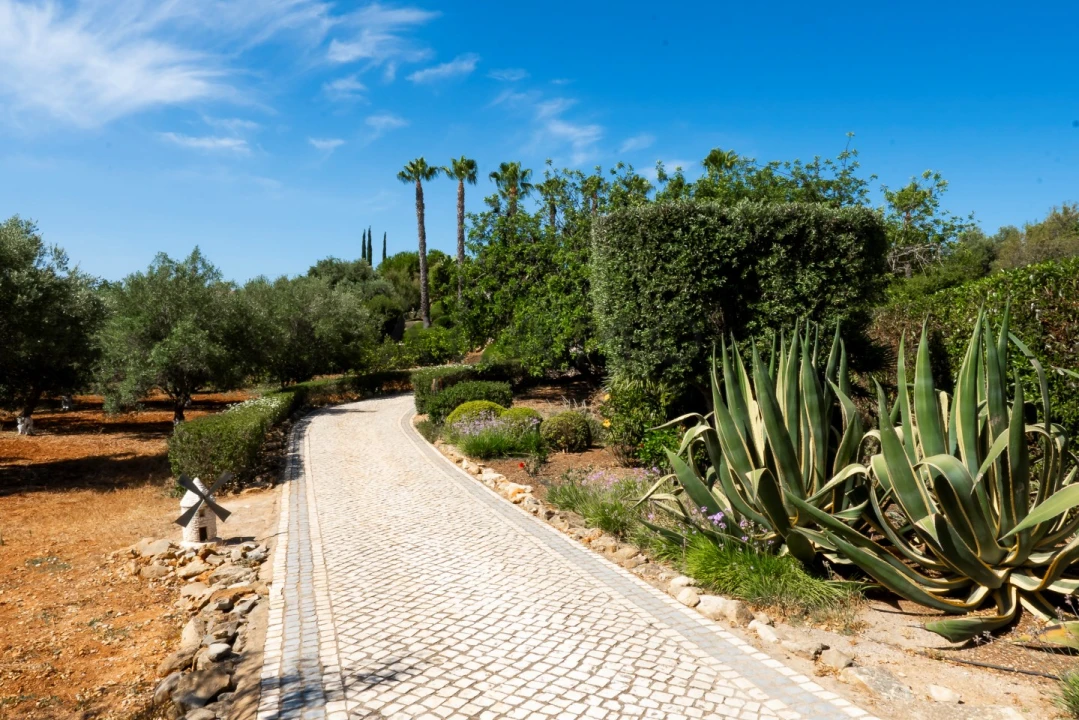 Moradia T5 para Venda em Pechão Foto 43