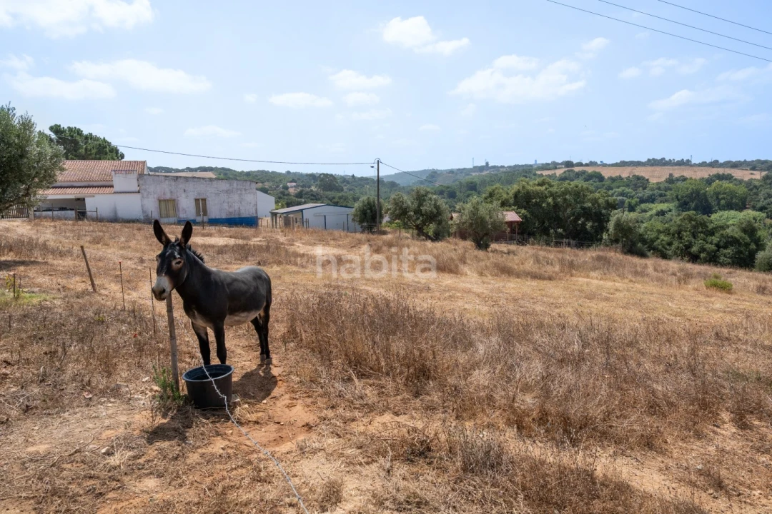 Quinta T3 para Venda em Santiago do Cacém, Santa Cruz e São Bartolomeu da Serra Foto 9