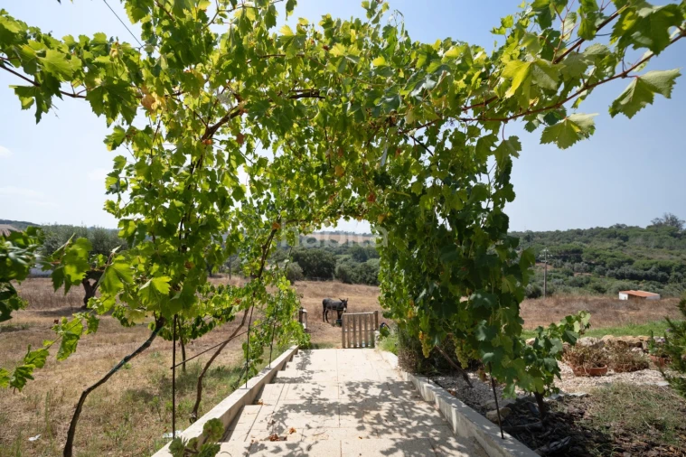 Quinta T3 para Venda em Santiago do Cacém, Santa Cruz e São Bartolomeu da Serra Foto 8