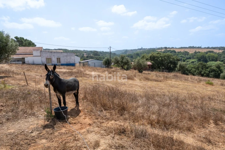 Quinta T3 para Venda em Santiago do Cacém, Santa Cruz e São Bartolomeu da Serra Foto 9