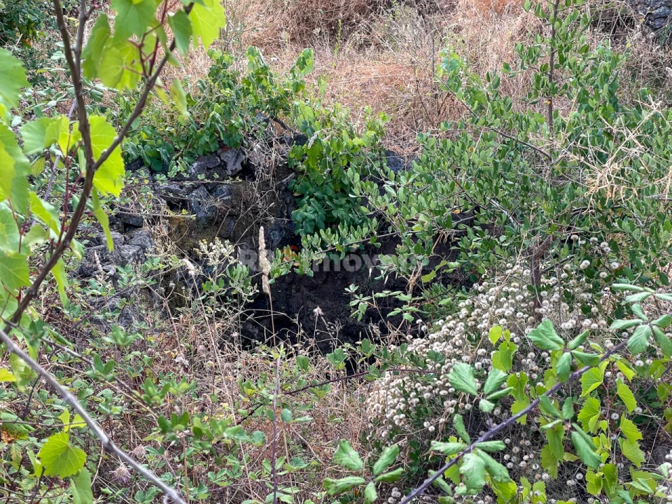 Moradia T3 para Venda em Envendos Foto 9