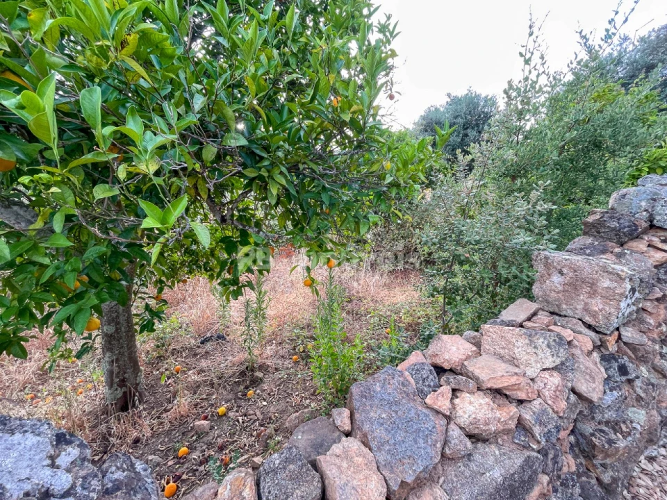 Moradia T3 para Venda em Envendos Foto 10