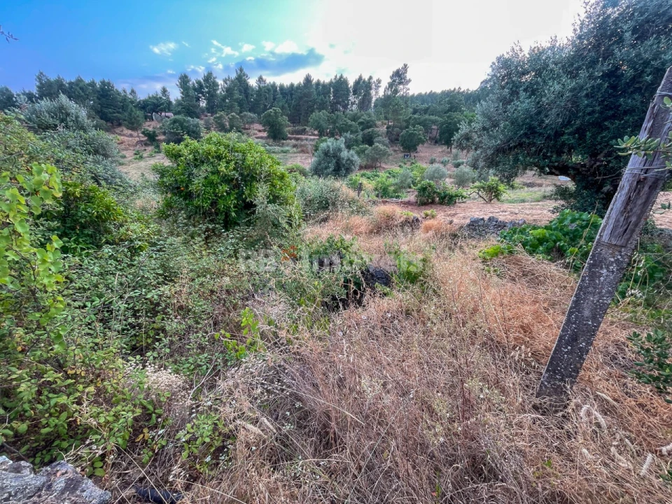 Moradia T3 para Venda em Envendos Foto 13