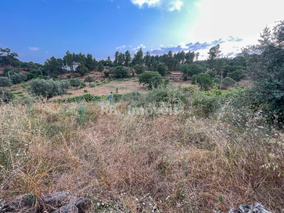 Moradia T3 para Venda em Envendos Foto 15