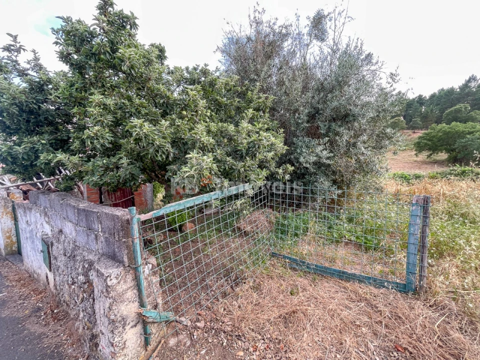 Moradia T3 para Venda em Envendos Foto 11