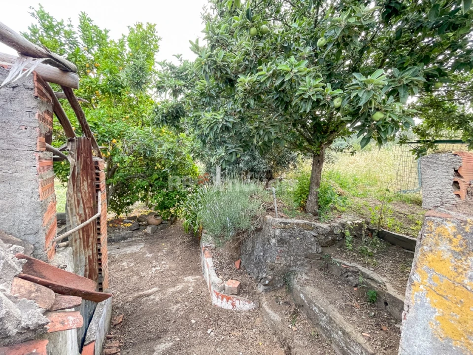 Moradia T3 para Venda em Envendos Foto 16