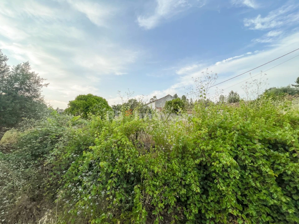 Moradia T3 para Venda em Envendos Foto 19