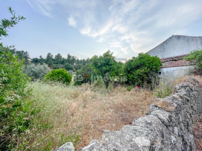 Moradia T3 para Venda em Envendos Foto 18