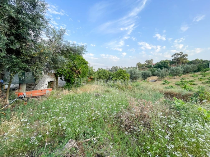 Moradia T3 para Venda em Envendos Foto 27