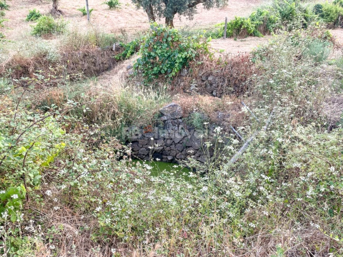 Moradia T3 para Venda em Envendos Foto 12