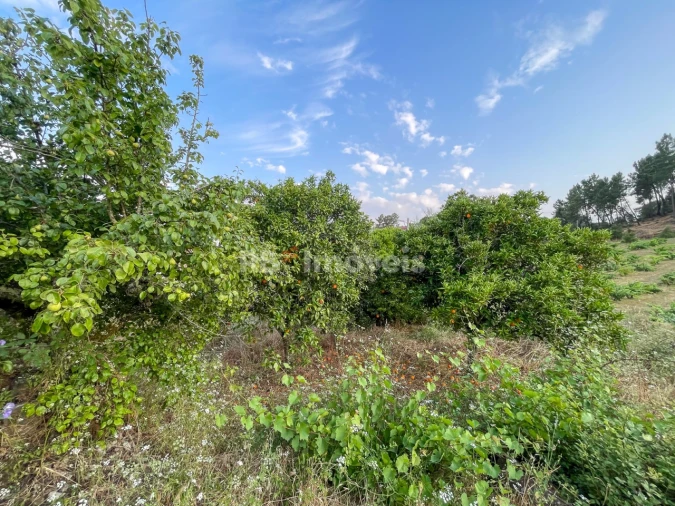 Moradia T3 para Venda em Envendos Foto 28