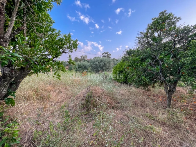 Moradia T3 para Venda em Envendos Foto 34