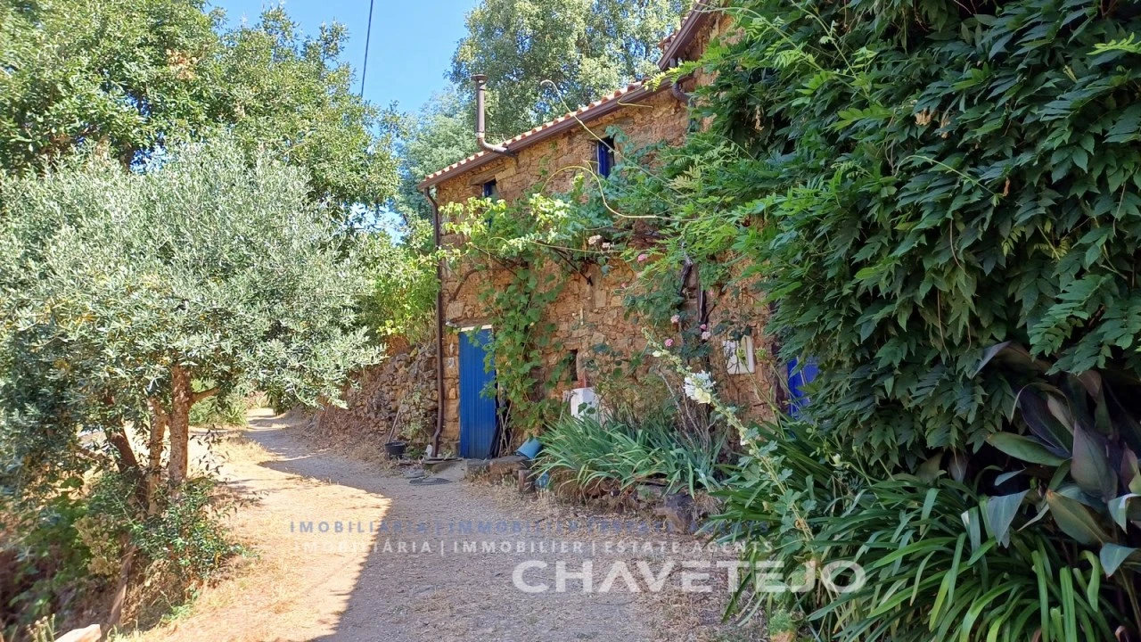 Quinta T5 para Venda em Figueiró dos Vinhos e Bairradas Foto 12
