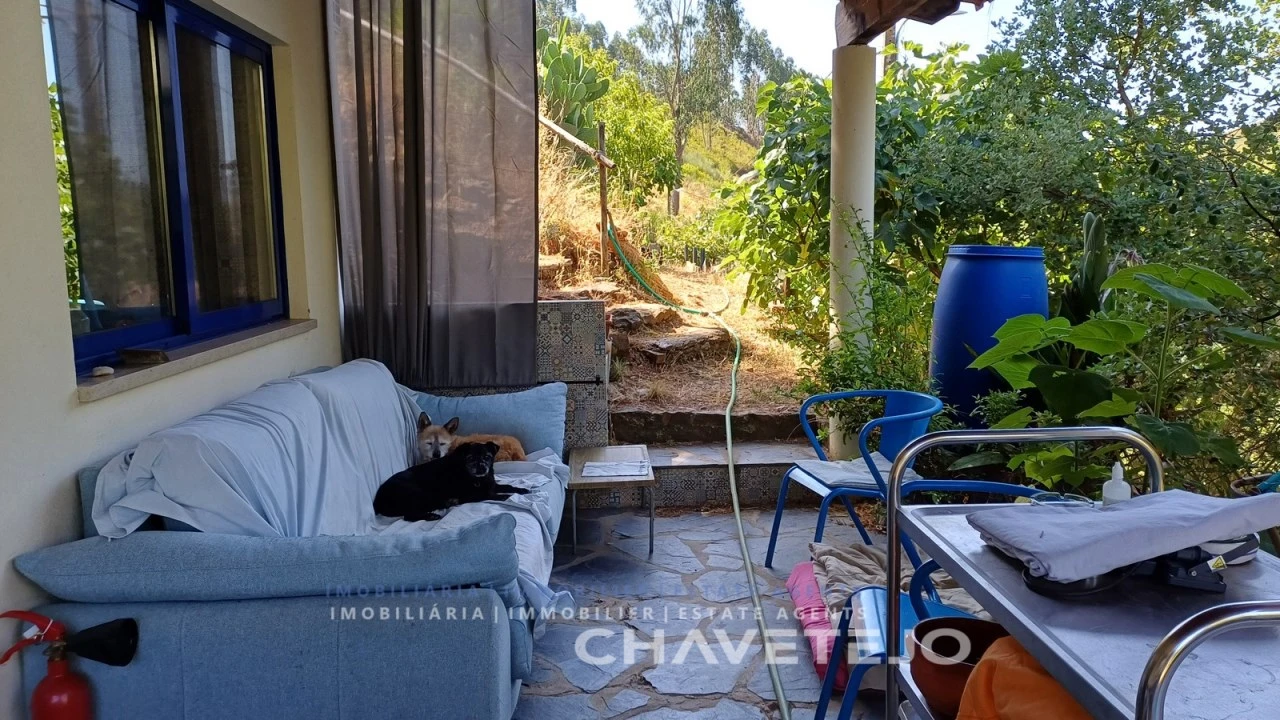 Quinta T5 para Venda em Figueiró dos Vinhos e Bairradas Foto 46