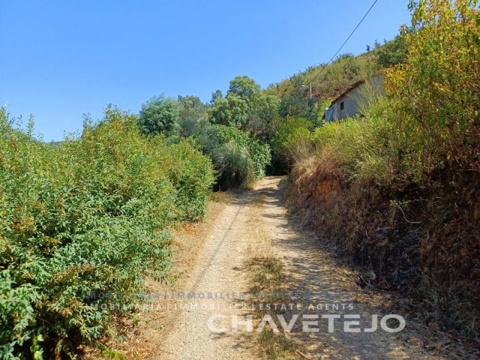Quinta T5 para Venda em Figueiró dos Vinhos e Bairradas Foto 67