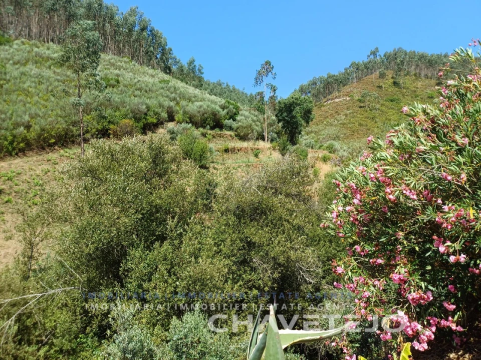 Quinta T5 para Venda em Figueiró dos Vinhos e Bairradas Foto 68