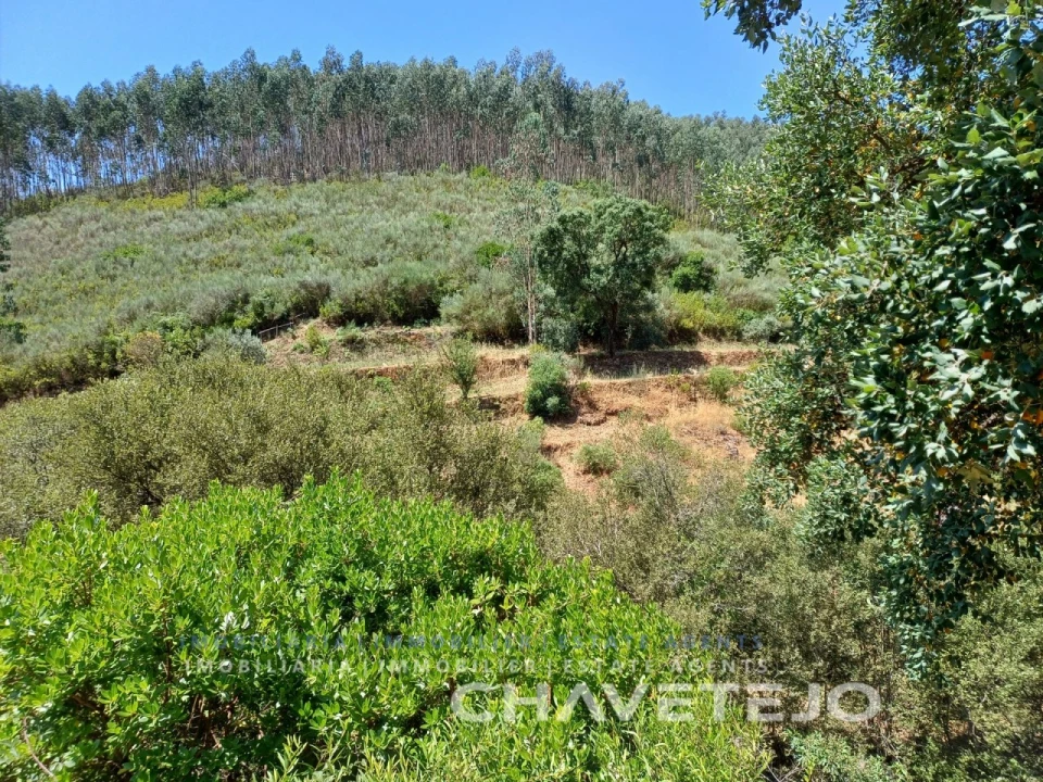 Quinta T5 para Venda em Figueiró dos Vinhos e Bairradas Foto 74