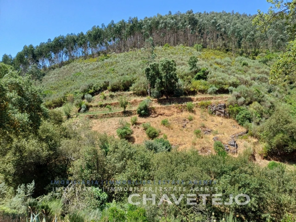 Quinta T5 para Venda em Figueiró dos Vinhos e Bairradas Foto 75