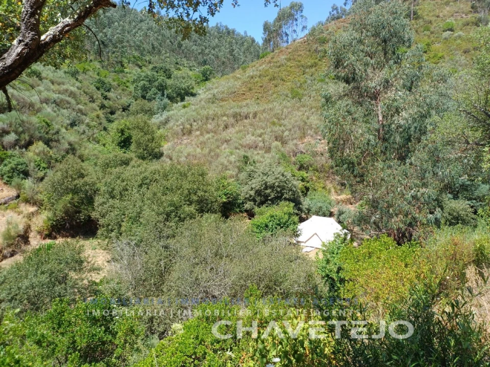 Quinta T5 para Venda em Figueiró dos Vinhos e Bairradas Foto 76