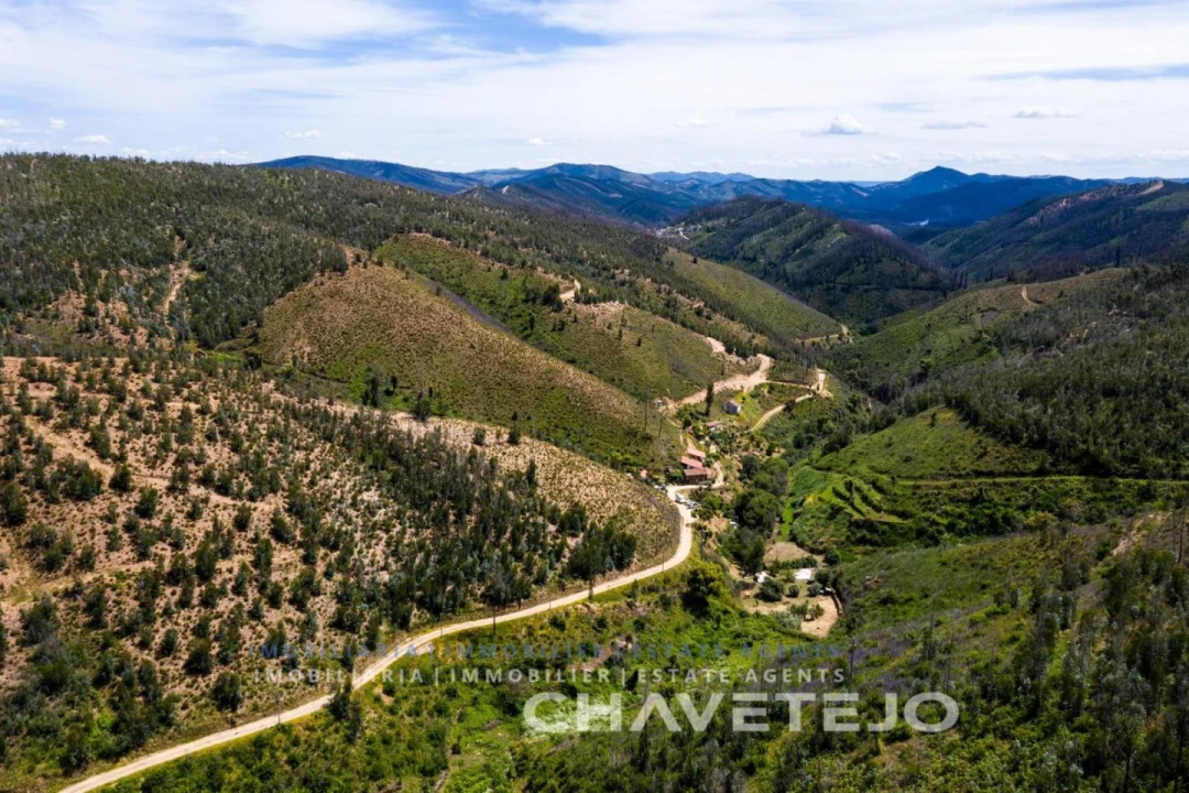 Quinta T5 para Venda em Figueiró dos Vinhos e Bairradas Foto 79