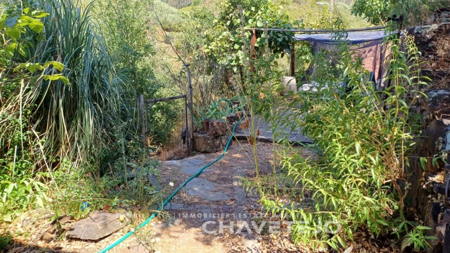 Quinta T5 para Venda em Figueiró dos Vinhos e Bairradas Foto 11
