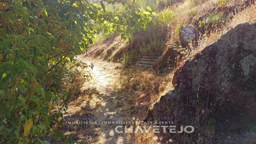 Quinta T5 para Venda em Figueiró dos Vinhos e Bairradas Foto 58