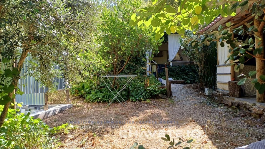 Quinta T5 para Venda em Figueiró dos Vinhos e Bairradas Foto 65