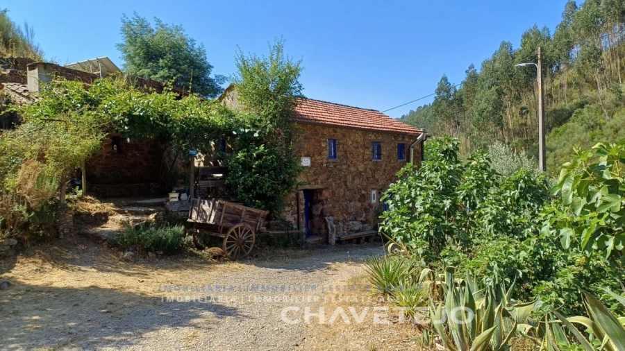 Quinta T5 para Venda em Figueiró dos Vinhos e Bairradas Foto 66