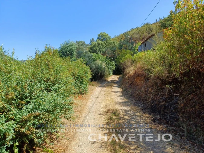 Quinta T5 para Venda em Figueiró dos Vinhos e Bairradas Foto 67