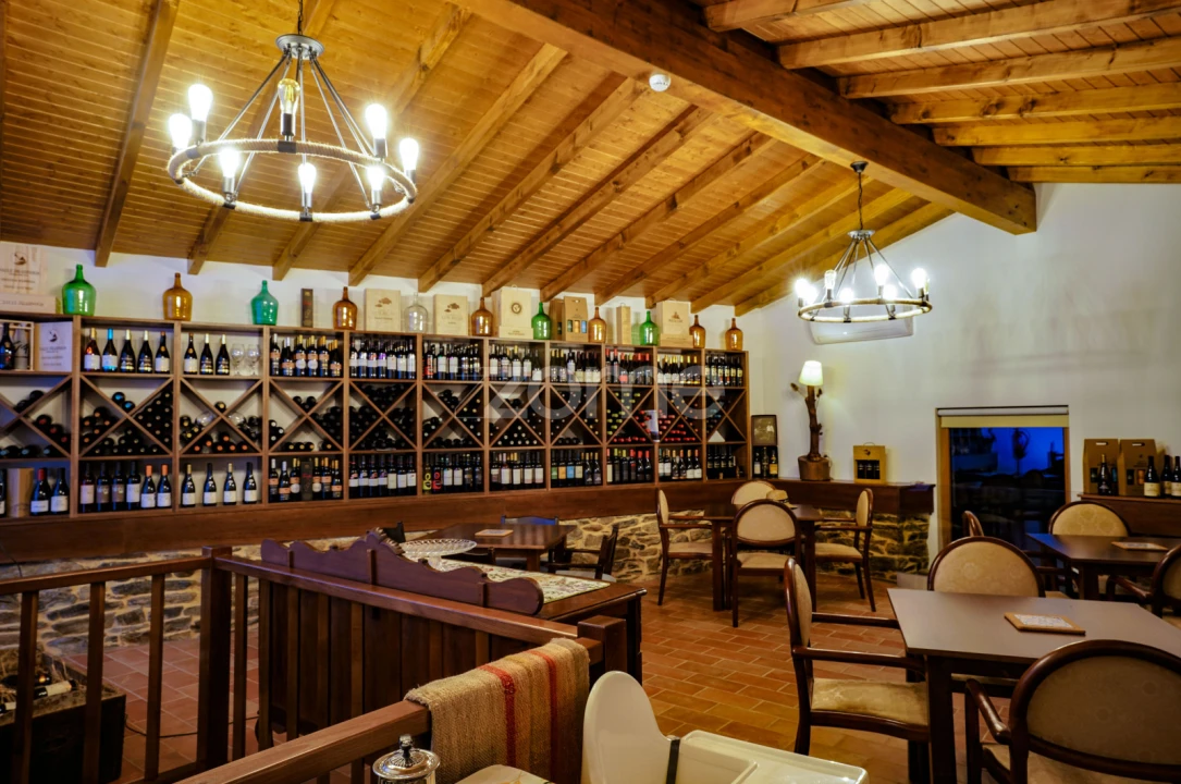 Quinta T9 para Venda em Gostei Foto 11