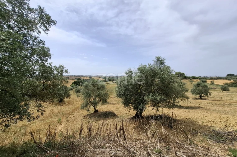 Quinta T2 para Venda em Moçarria Foto 20