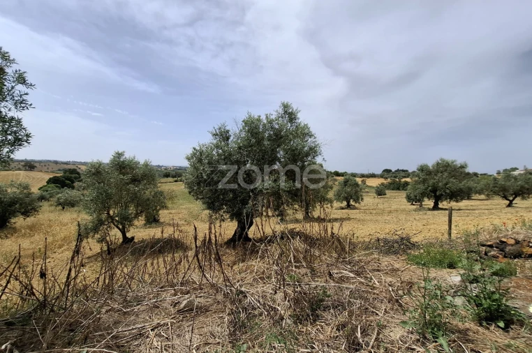 Quinta T2 para Venda em Moçarria Foto 21