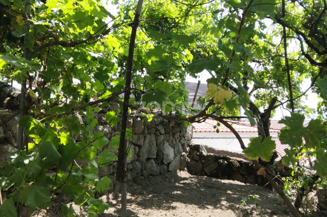 Moradia T5 para Venda em São Pedro e Santa Maria e Vila Boa do Mondego Foto 34