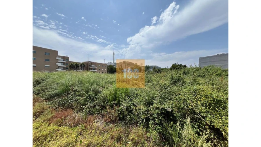 Terreno para Venda em Oliveira do Douro Foto 17