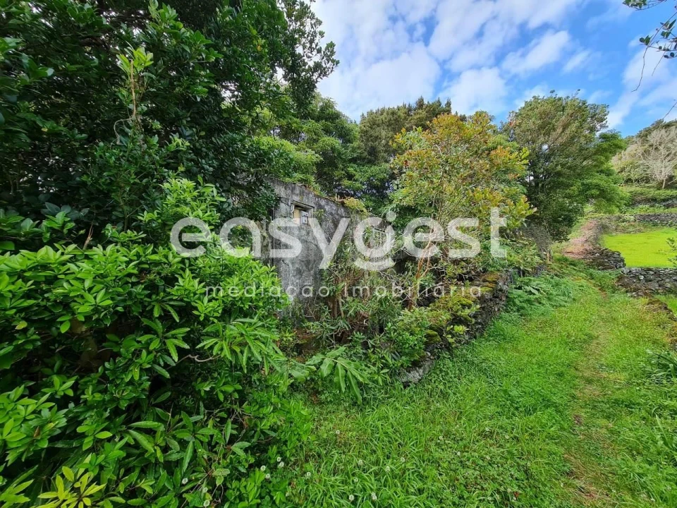 Moradia T2 para Venda em São João Foto 1