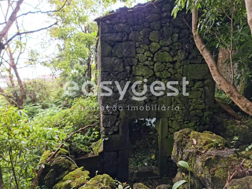 Moradia T2 para Venda em São João Foto 3