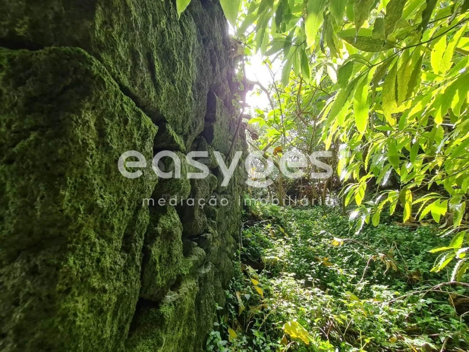 Moradia T2 para Venda em São João Foto 5