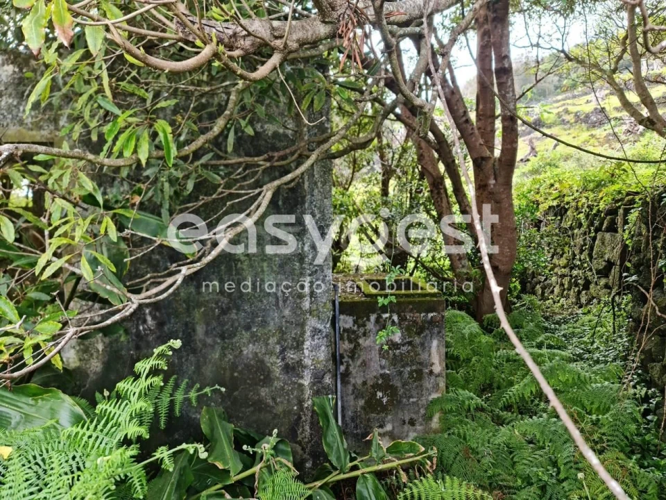 Moradia T2 para Venda em São João Foto 7