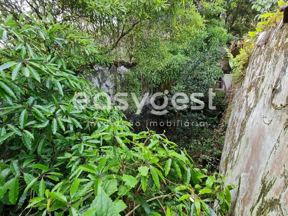 Moradia T2 para Venda em São João Foto 10