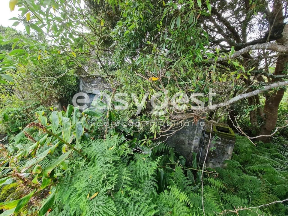 Moradia T2 para Venda em São João Foto 16